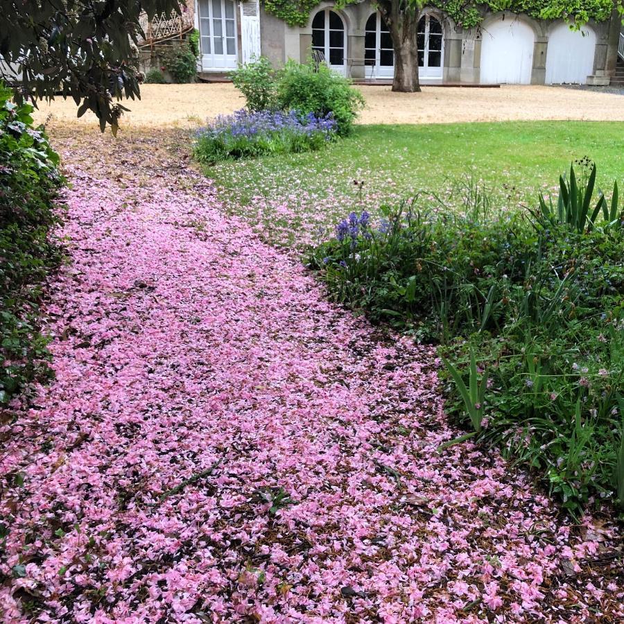 Au Rez De Jardin Hotel โชเลต์ ภายนอก รูปภาพ