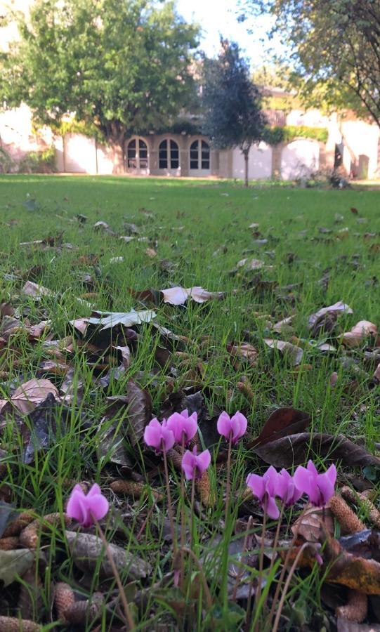 Au Rez De Jardin Hotel โชเลต์ ภายนอก รูปภาพ